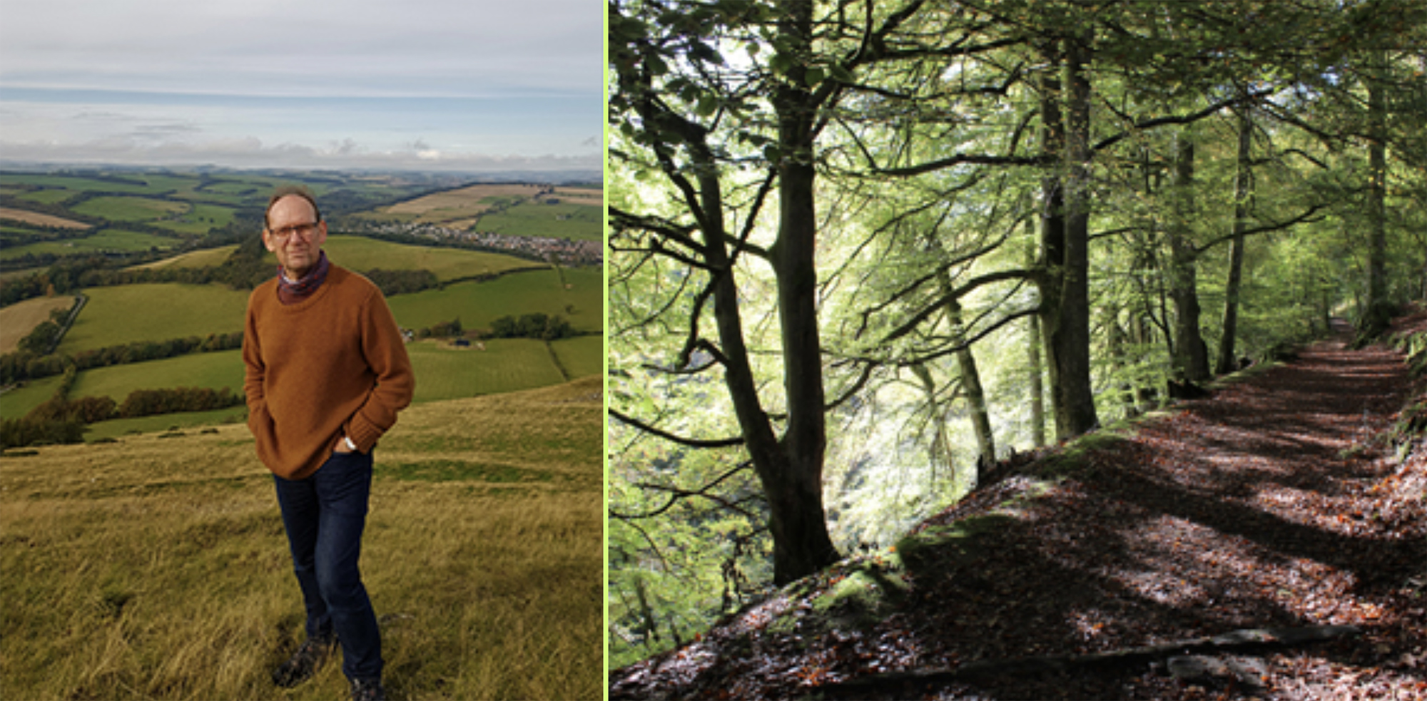 counselling scottish borders